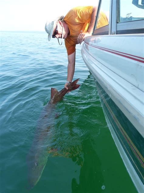 Guide for fishing fanatics .